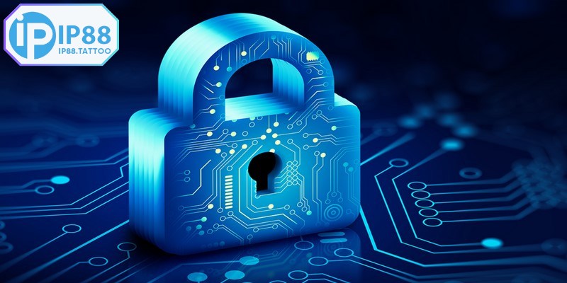 Chi tiết các quy định trong chính sách bảo mật IP88