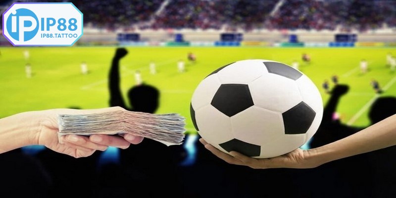 Kèo bóng 88 thu hút sự chú ý và tìm kiếm mạnh mẽ hiện nay