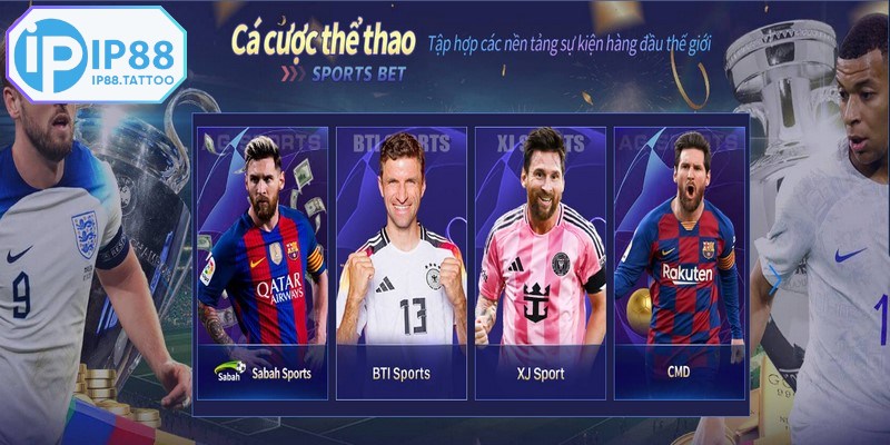 Lý do sảnh thể thao được đông đảo cược thủ yêu thích